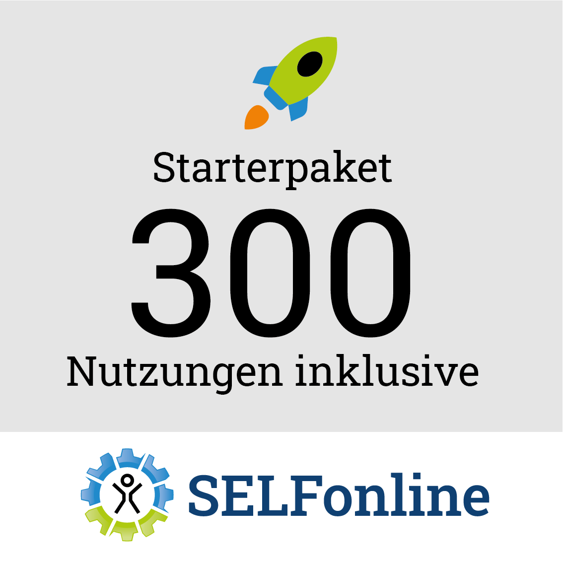 Starterpaket 300